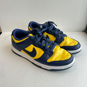 Nike Casual Shoes Mens 8