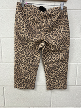 Load image into Gallery viewer, American Eagle Pants Size Small
