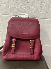 Load image into Gallery viewer, Michael Kors Purse
