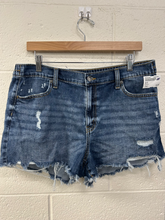 Load image into Gallery viewer, Aerie Shorts Size Large

